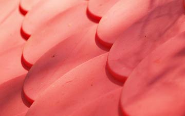 Crilly plastic roof costs