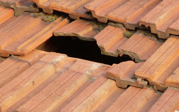 roof repair Crilly, Dungannon