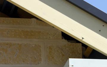 soffit repair Crilly